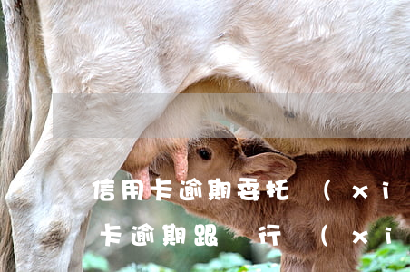 信用卡逾期委托協(xié)商能行嗎(信用卡逾期跟銀行協(xié)商)