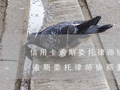 信用卡逾期委托律师协商要多少钱-信用卡逾期委托律师协商要多少钱呢