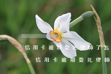 信用卡逾期委托律師了怎么協(xié)商-信用卡逾期委托律師了怎么協(xié)商還款