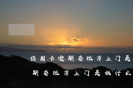 信用卡逾期委托方上门是做什么-信用卡逾期委托方上门是做什么工作