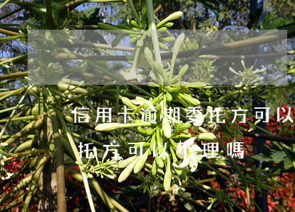 信用卡逾期委托方可以不理嗎(信用卡逾期委托方可以不理嗎)