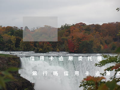 信用卡逾期委托機(jī)構(gòu)是銀行嗎(信用卡逾期委托機(jī)構(gòu)是銀行嗎)