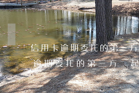 信用卡逾期委托的第三方會起訴嗎-信用卡逾期委托的第三方會起訴嗎知乎