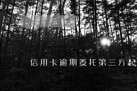 信用卡逾期委托第三方起訴立案