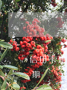 信用卡逾期委托給催收公司(銀行把信用卡逾期債務(wù)賣給催收公司,還不上會)
