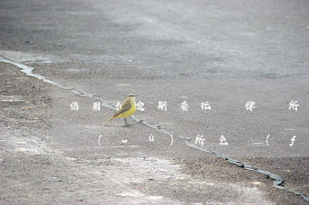 信用卡逾期委托給律師所(信用卡逾期 律師事務(wù)所免費(fèi)咨詢)