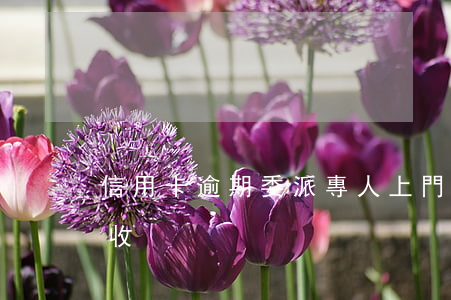 信用卡逾期委派專人上門(銀行卡逾期上門催收)