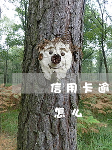 信用卡逾期威脅去單位(對信用卡逾期有異議怎么辦)