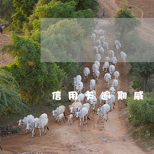 信用卡逾期威脅我(沒注意信用卡逾期了)