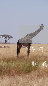 信用卡逾期威脅第三方立案抓人-信用卡逾期威脅第三方立案抓人合法嗎