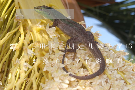 信用卡逾期娃儿能上学吗(离婚后信用卡逾期对孩子上学有影响吗)