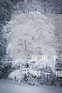 信用卡逾期媽一天怎么扣錢(信用卡5塊錢逾期一個星期了怎么辦)