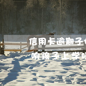 信用卡逾期子女上不了学吗(欠信用卡不还影响孩子上学吗)