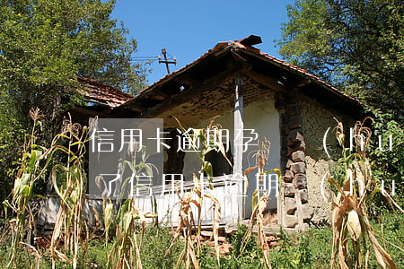 信用卡逾期孕婦會(huì)被起訴嗎(懷孕了信用卡逾期會(huì)坐牢嗎)