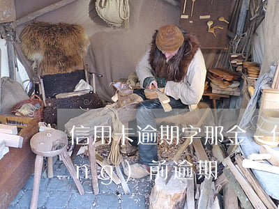 信用卡逾期字那金-什么叫信用卡當(dāng)前逾期
