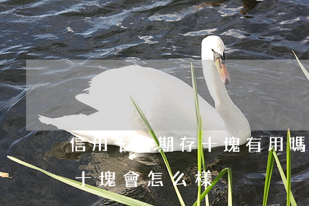 信用卡逾期存十塊有用嗎(信用卡逾期每次還十塊會怎么樣)