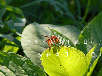 信用卡逾期存款機(jī)存不進(jìn)去(存款機(jī)一直存不進(jìn)去)