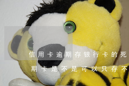 信用卡逾期存银行卡的死期能取吗-银行死期卡是不是可以只存不取