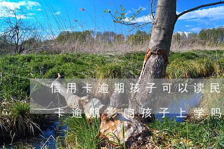 信用卡逾期孩子可以读民办学校吗-欠信用卡逾期影响孩子上学吗