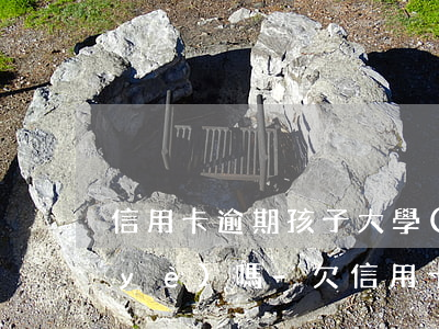 信用卡逾期孩子大學(xué)不得畢業(yè)嗎-欠信用卡逾期影響孩子上學(xué)嗎