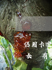 信用卡逾期孩子會有影響(信用卡逾期會對子女們有影響嗎?)