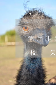信用卡逾期孩子能不能上私立學(xué)校-欠信用卡逾期影響孩子上學(xué)嗎