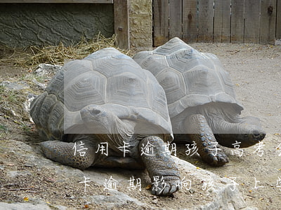 信用卡逾期孩子高考会不会受影响-欠信用卡逾期影响孩子上学吗