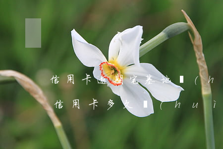 信用卡逾期宅基地會(huì)被拍賣嗎(欠信用卡多久會(huì)拍賣房子)