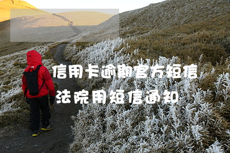 信用卡逾期官方短信訴訟(信用卡逾期被起訴法院用短信通知嗎)