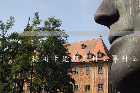信用卡逾期定什么罪(什么情況算信用卡逾期)