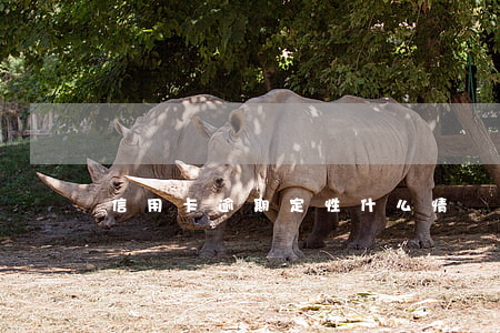 信用卡逾期定性(什么情況算信用卡逾期)