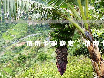 信用卡  逾期 定義 信用卡 逾期 定義詐騙罪