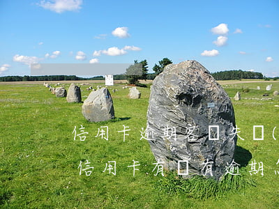 信用卡逾期客戶失聯(lián)怎么查(查信用卡有沒有逾期怎么查)