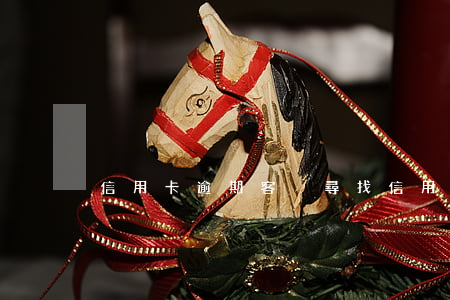 信用卡逾期客戶尋找(信用卡逾期客戶尋找我)