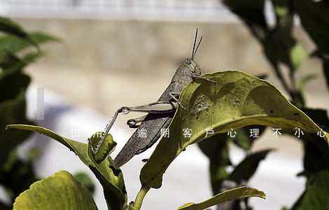 信用卡逾期客戶心理(不小心信用卡逾期)