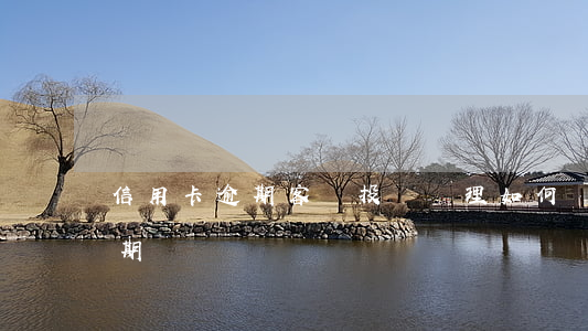 信用卡逾期客戶投訴處理(如何處理信用卡逾期問題)