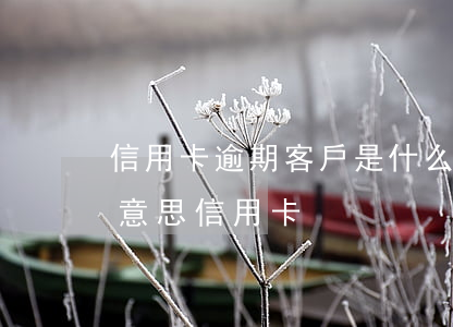 信用卡逾期客戶是什么意思(逾期金額是什么意思信用卡)