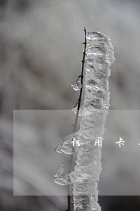 信用卡逾期客戶表現(xiàn)