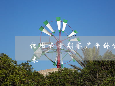 信用卡逾期客户年龄分析(1000 五十六千米)