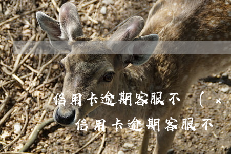 信用卡逾期客服不協(xié)商會怎么樣嗎（信用卡逾期客服不協(xié)商會怎么樣）