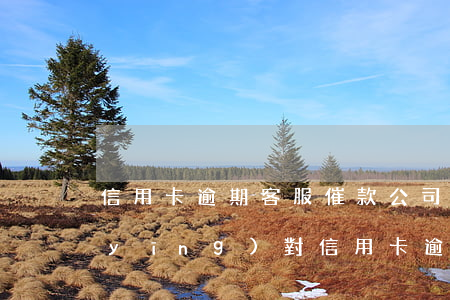 信用卡逾期客服催款公司聽誰的(怎么樣應(yīng)對信用卡逾期催收電話?)