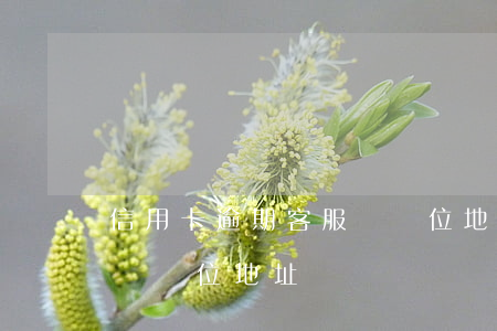 信用卡逾期客服問單位地址(信用卡逾期客服問單位地址)
