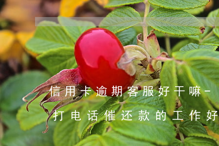 信用卡逾期客服好干嘛-给信用卡逾期客户打电话催还款的工作好做吗