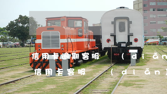 信用卡逾期客服幾點(diǎn)下班(銀行信用卡客服幾點(diǎn)下班)