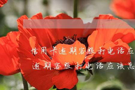 信用卡逾期客服打电话应该怎么说-信用卡逾期客服打电话应该怎么说话