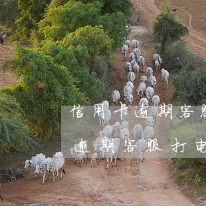 信用卡逾期客服打电话给我的老婆-信用卡逾期客服打电话给我的老婆是真的吗