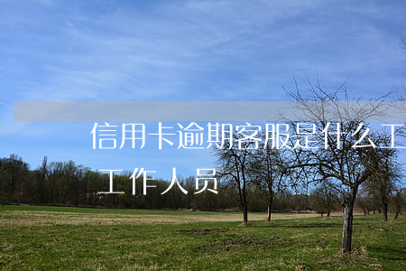 信用卡逾期客服是什么工作(催信用卡逾期的工作人员)