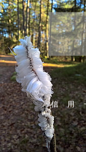 信用卡逾期客服會罵人嗎(把信用卡客服罵了)
