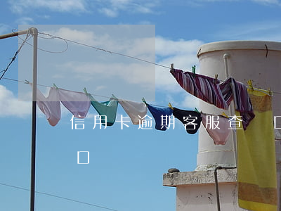 信用卡逾期客服查戶口(信用卡逾期客服查戶口)