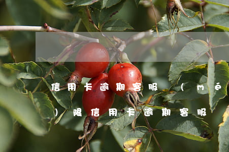 信用卡逾期客服沒(méi)權(quán)限（信用卡逾期客服沒(méi)權(quán)限）